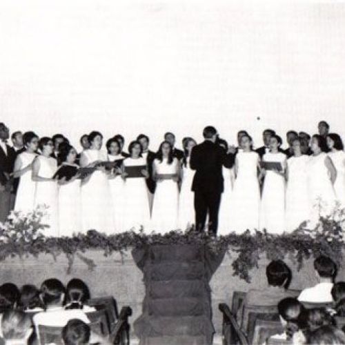 Galería de imágenes