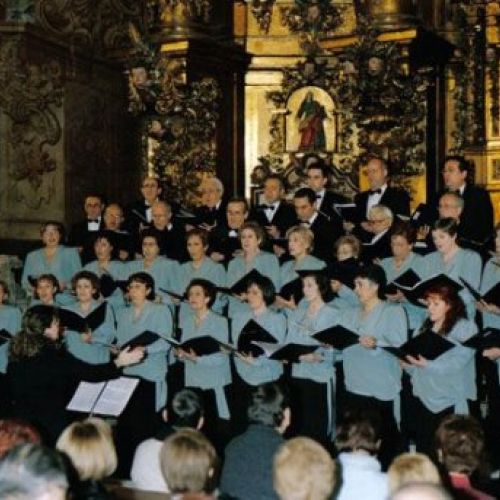 Galería de imágenes