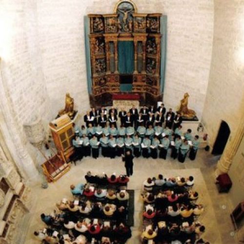 Galería de imágenes