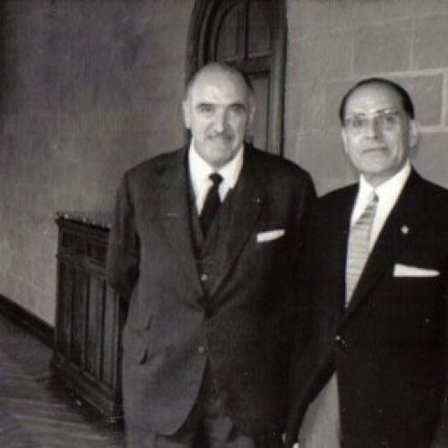 Galería de imágenes